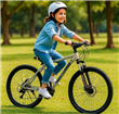 Bicicleta FIAT  2129001 aluminio gris MTB 500 29"