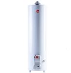 Termotanque RHEEM TPG150GNRH FUNCTIONAL 150 Lts Multigas Pie Sup