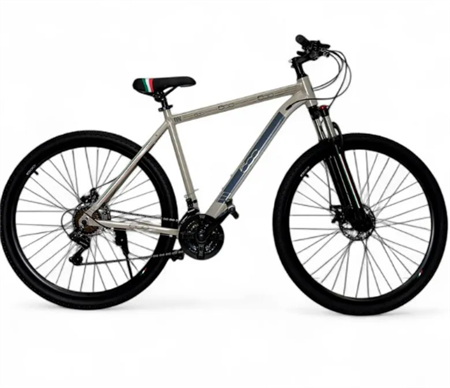 Bicicleta FIAT  2129001 aluminio gris MTB 500 29"