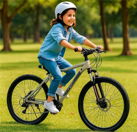Bicicleta FIAT  2129001 aluminio gris MTB 500 29"