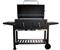 Parrilla BBQ-Grill Campo Doble XL a carbón