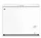 Freezer Horizontal GAFA FGHI302B-L Inverter 316L