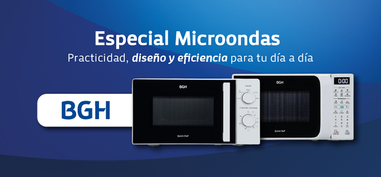 microondas 1